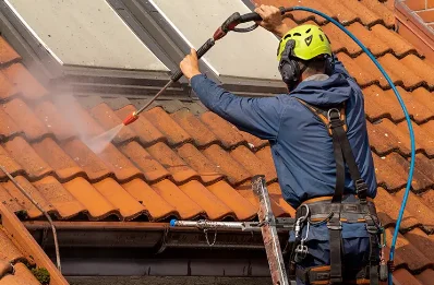 Démoussage et hydrofuge de toiture à Chanu